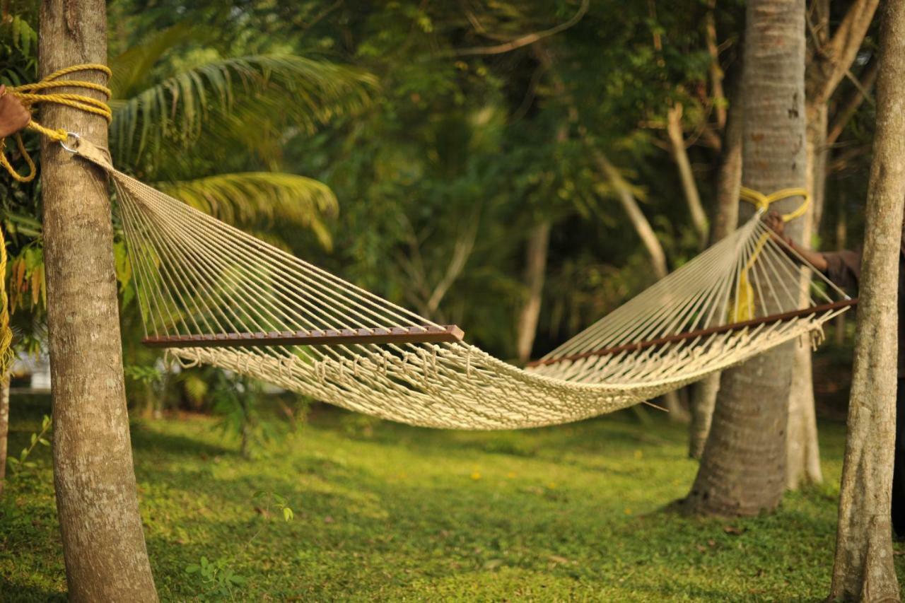 Club Mahindra Ashtamudi Hotell Nīndakara Eksteriør bilde